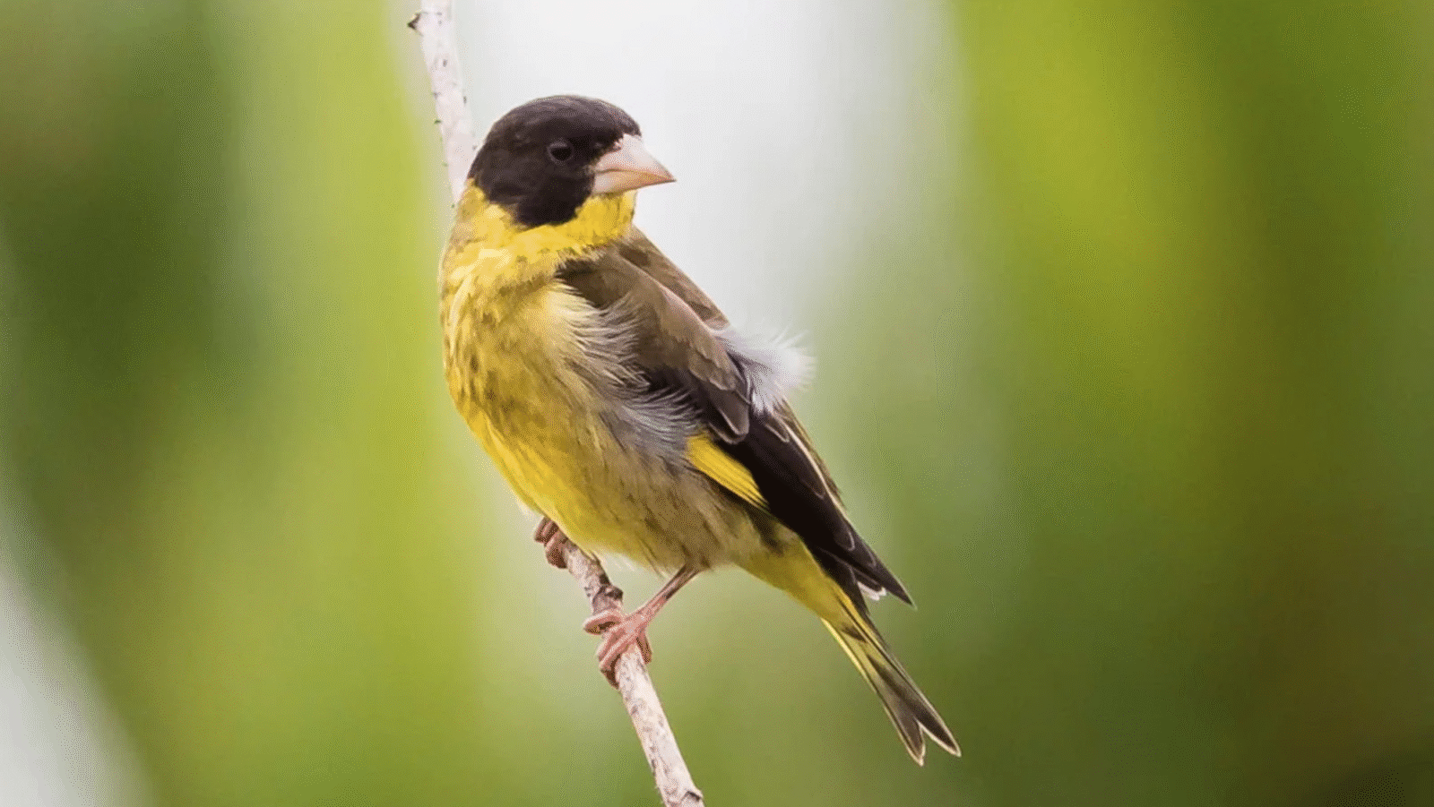 Screenshot 2025 11 15 213905 Heritage Photo Tour 2025 – Nơi nghệ thuật gặp sứ mệnh bảo tồn