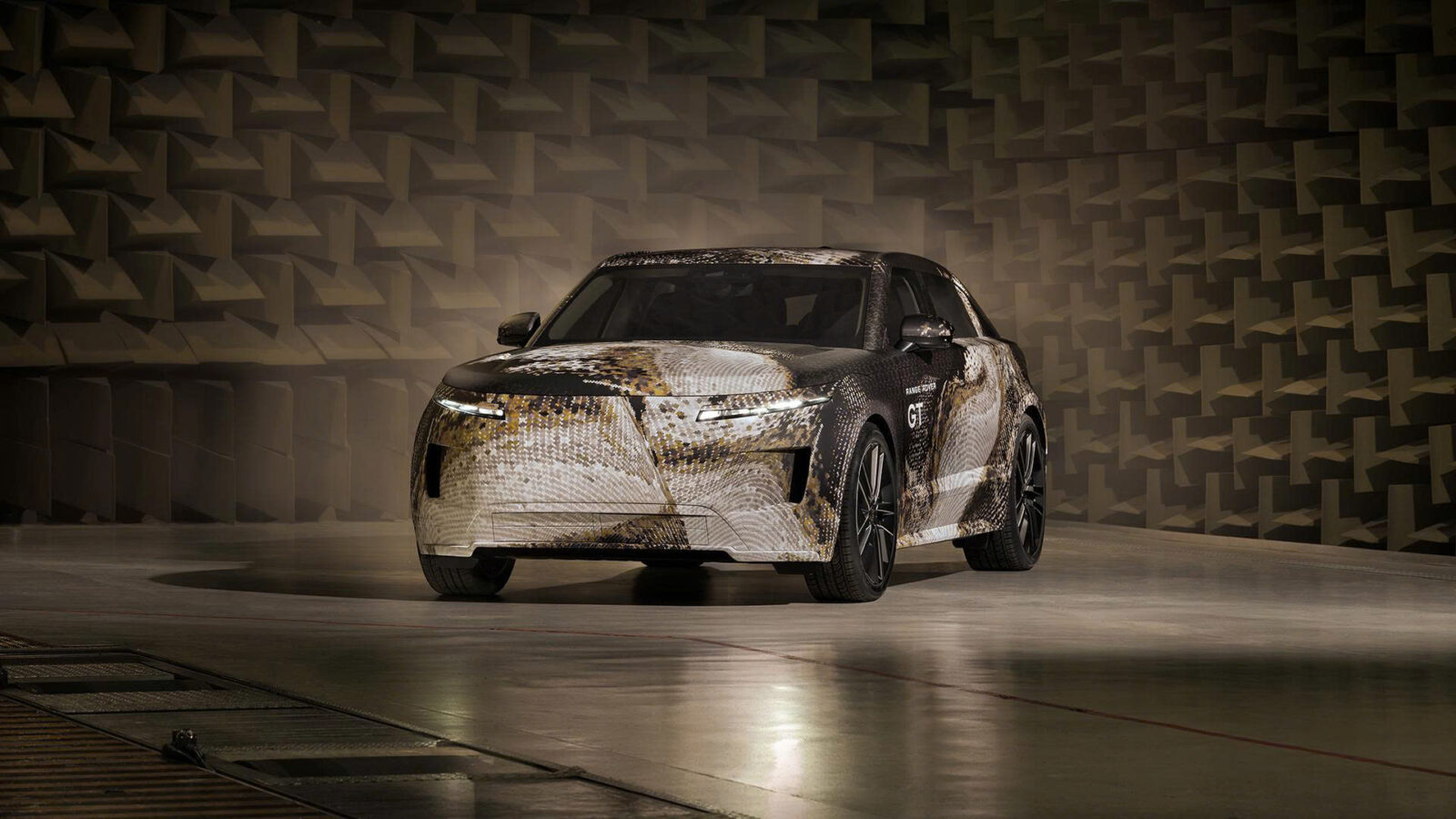 Phần đầu xe Range Rover GT